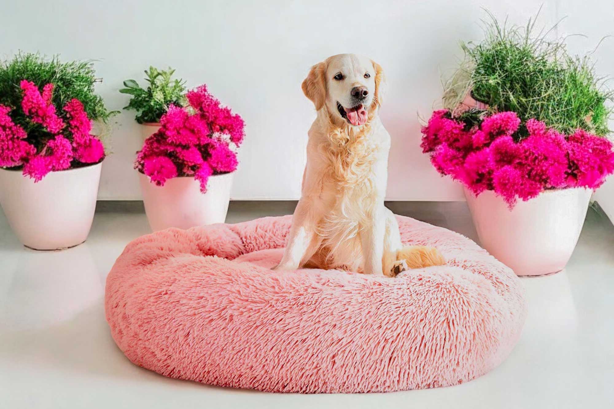 Dog Fluffy Bed