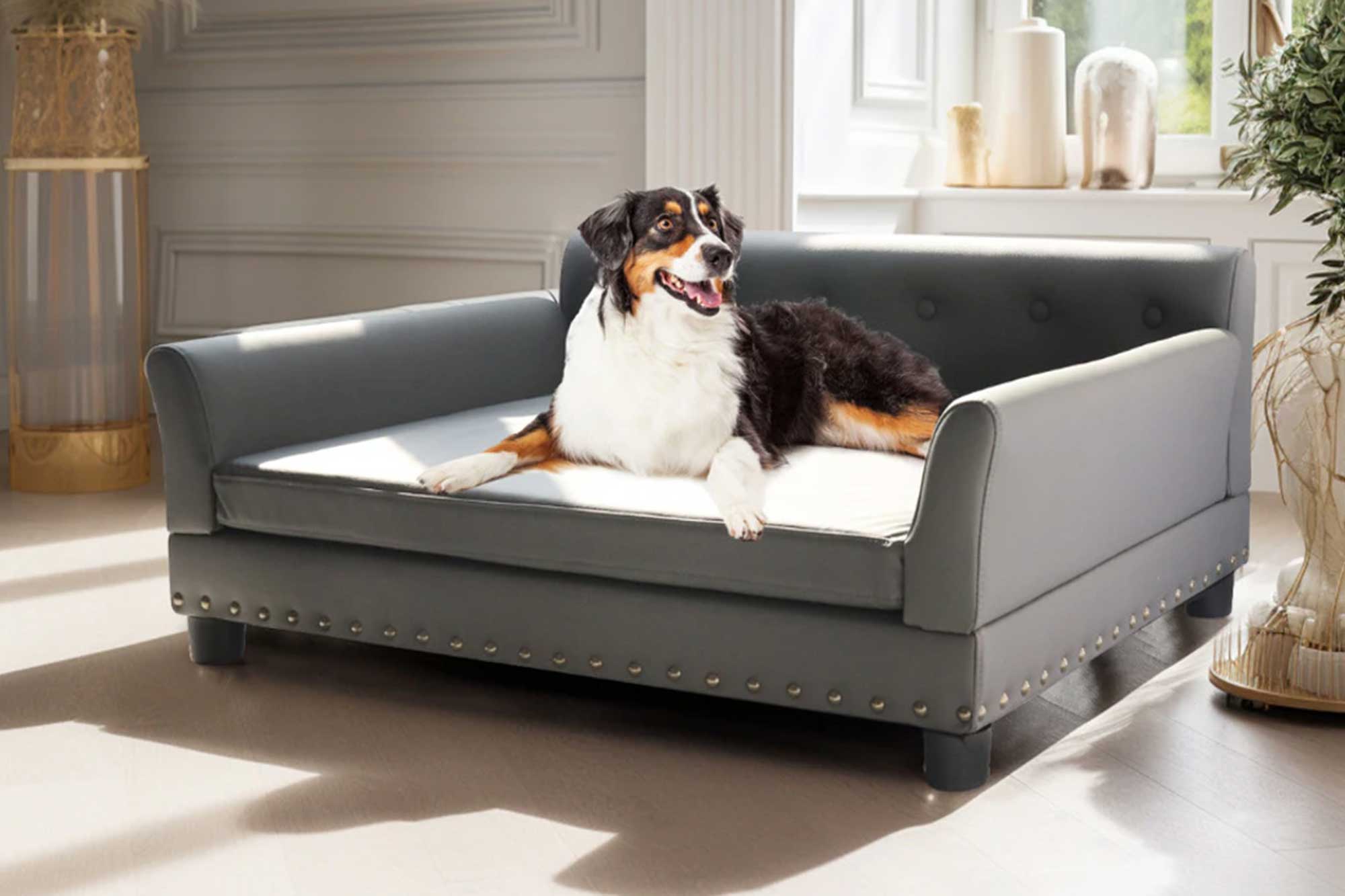 Dogs Bed E