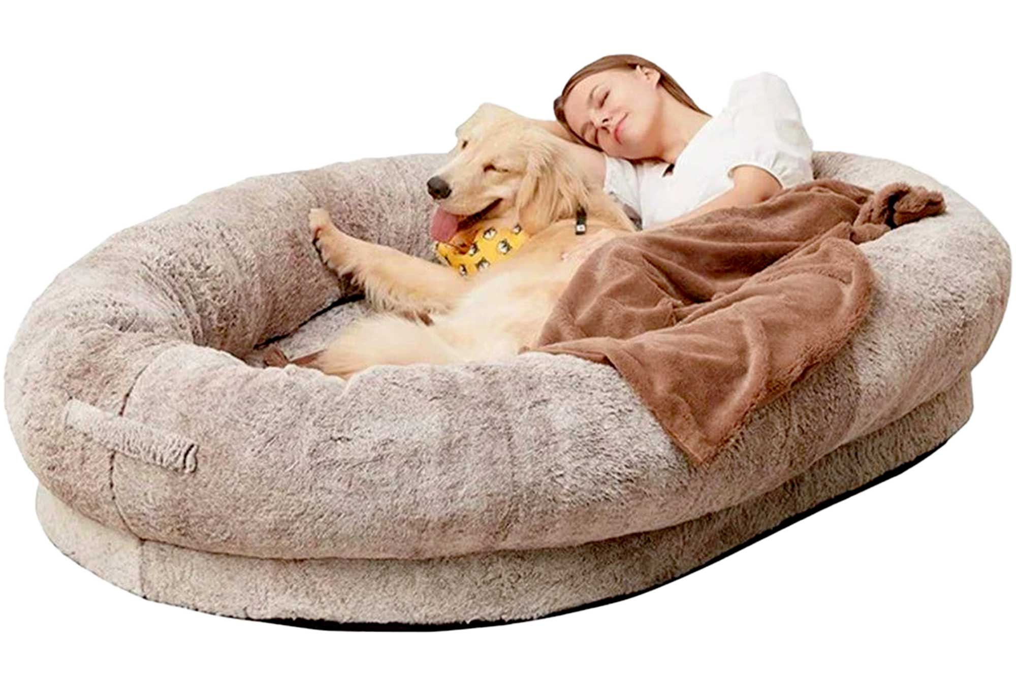 Doggie Bed For Humans A