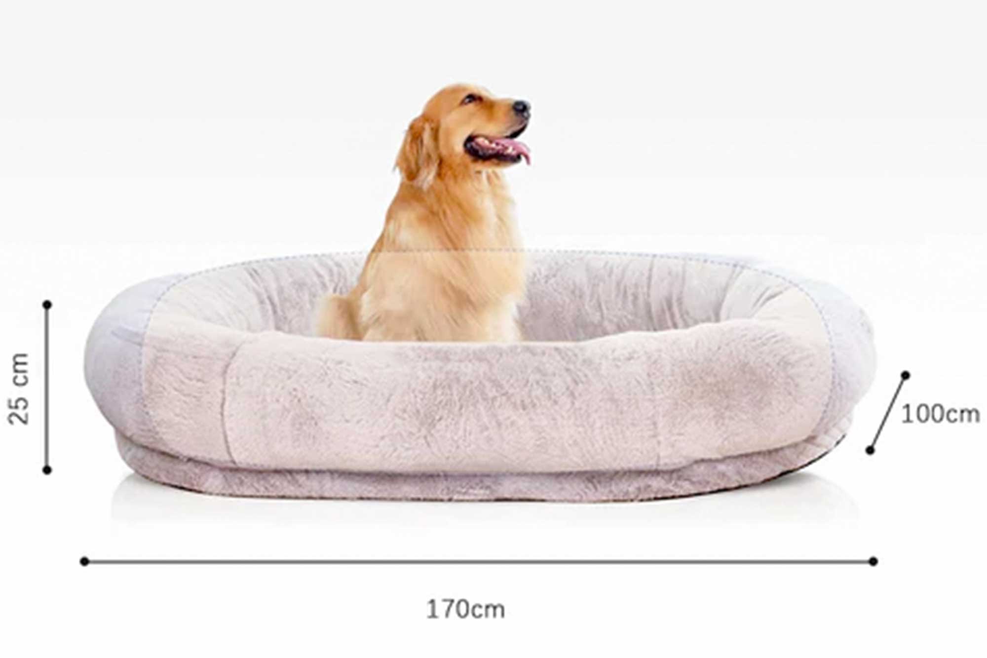 Doggie Bed For Humans I