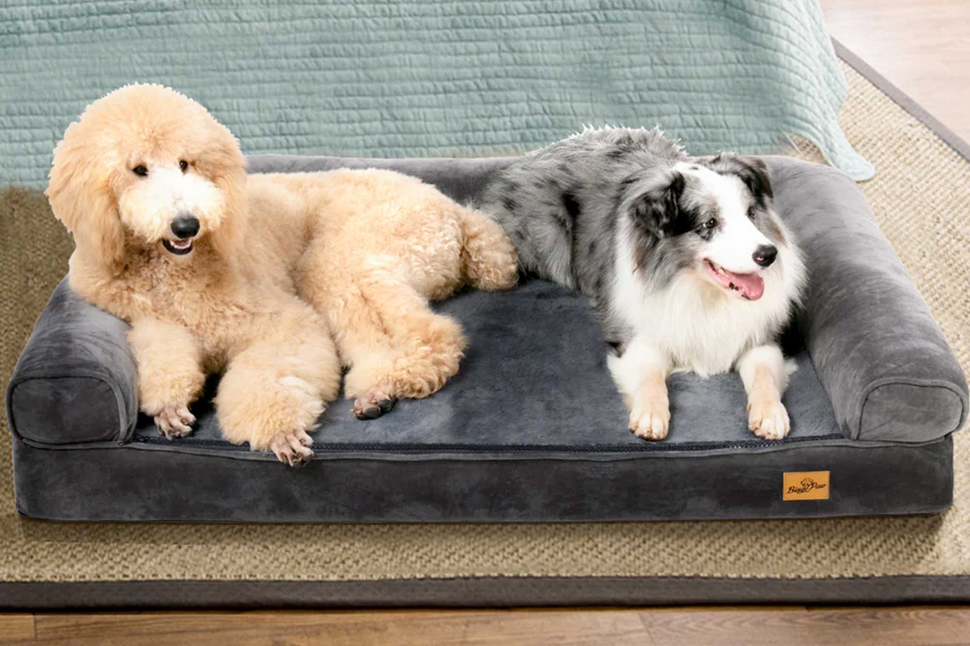 Ortho Dog Bed C
