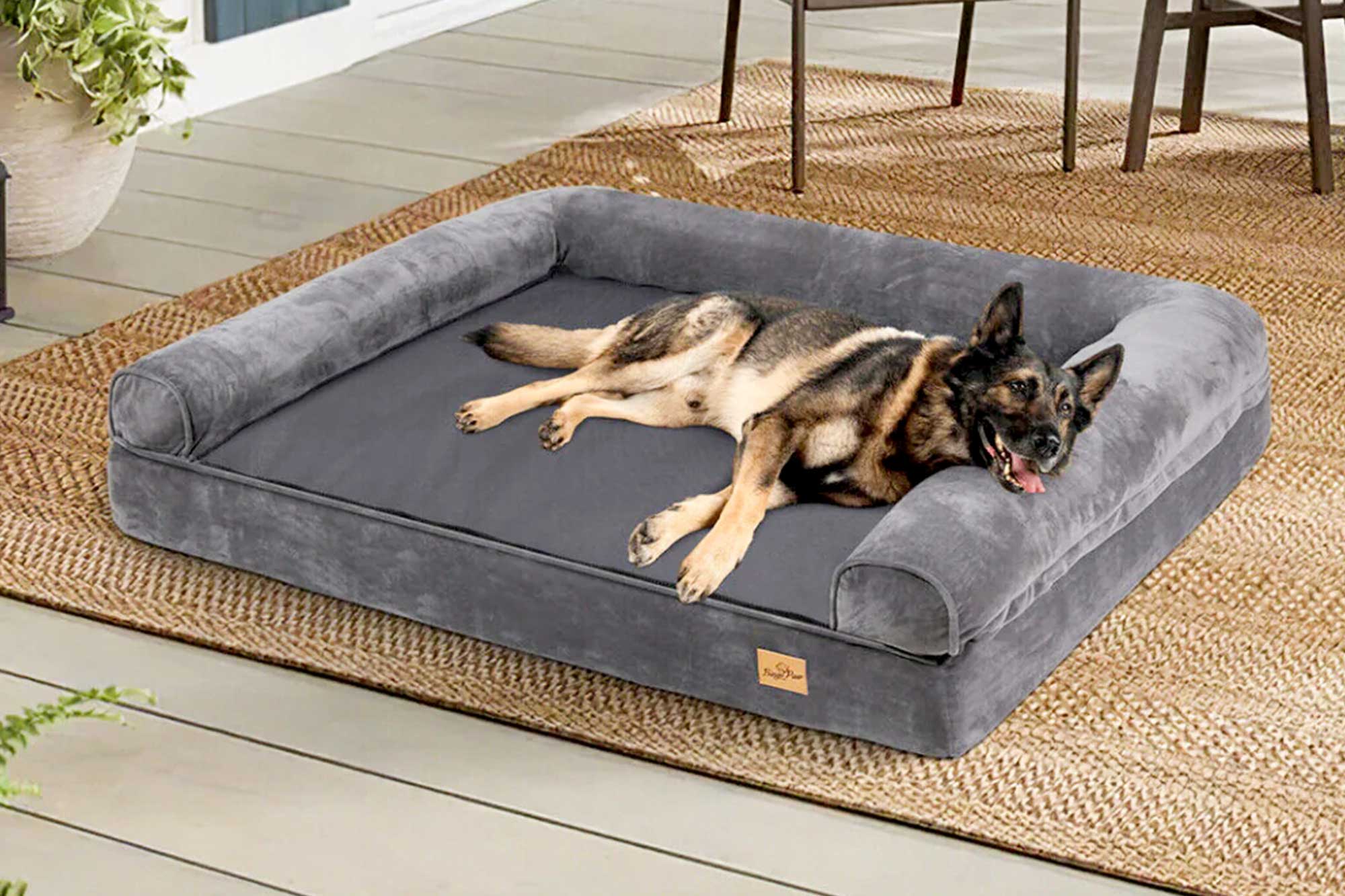 Ortho Dog Bed D