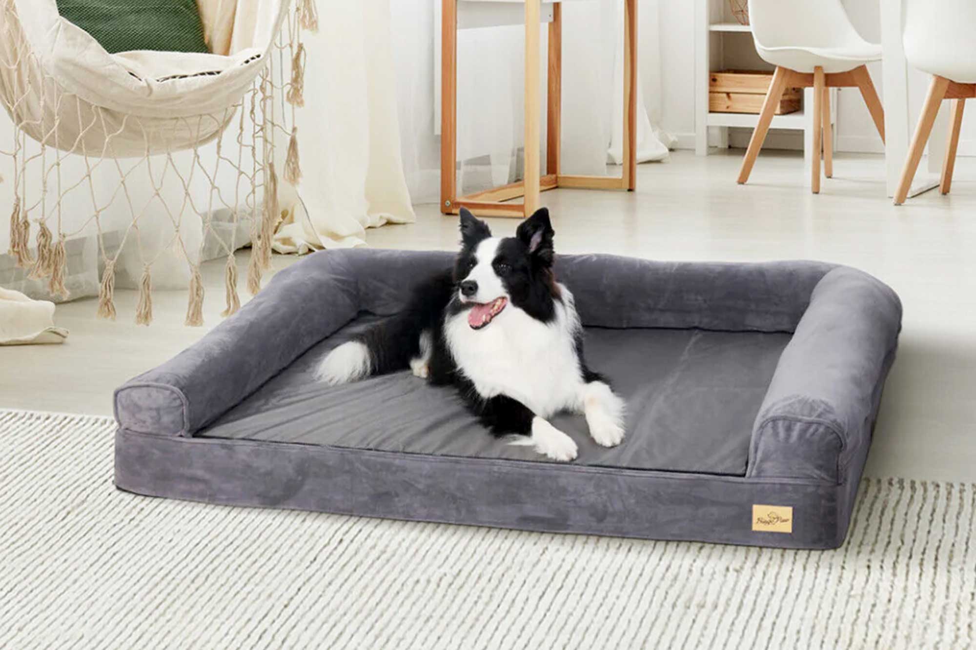 Ortho Dog Bed B