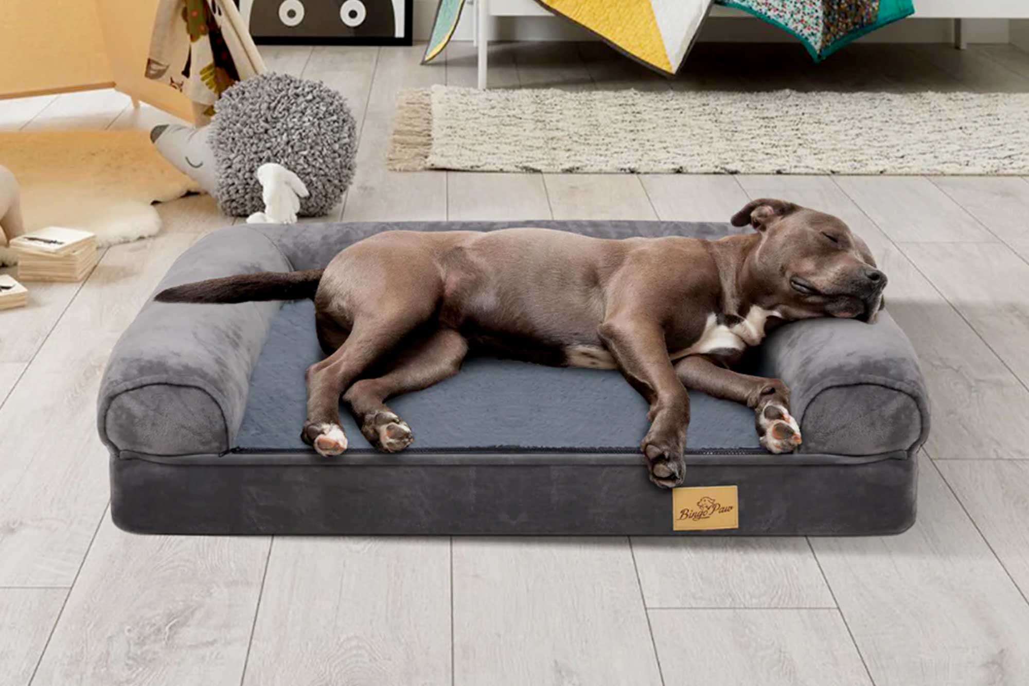 Ortho Dog Bed G