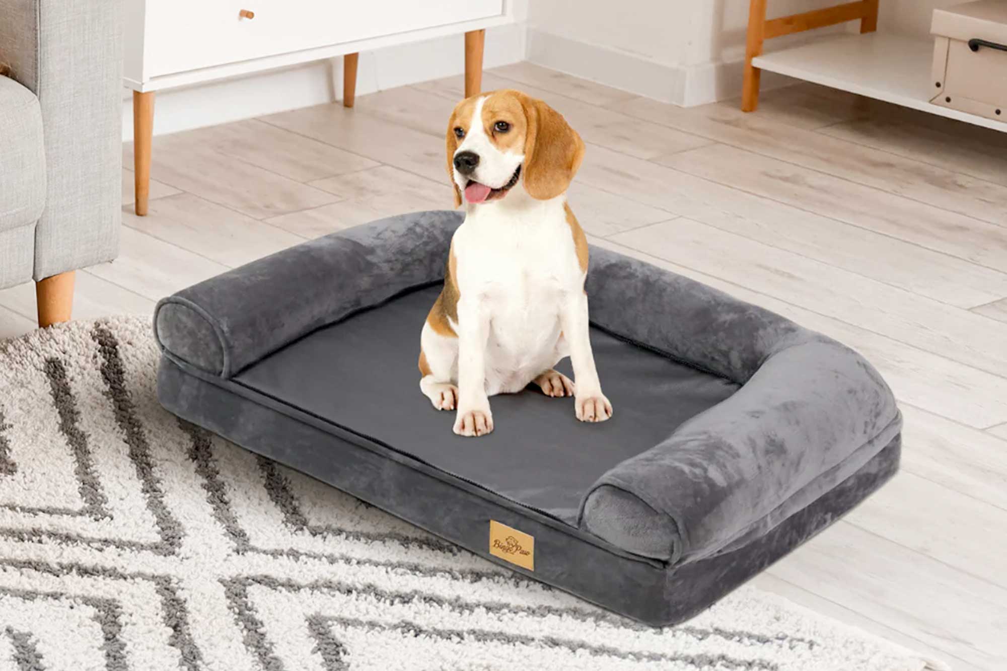 Ortho Dog Bed F