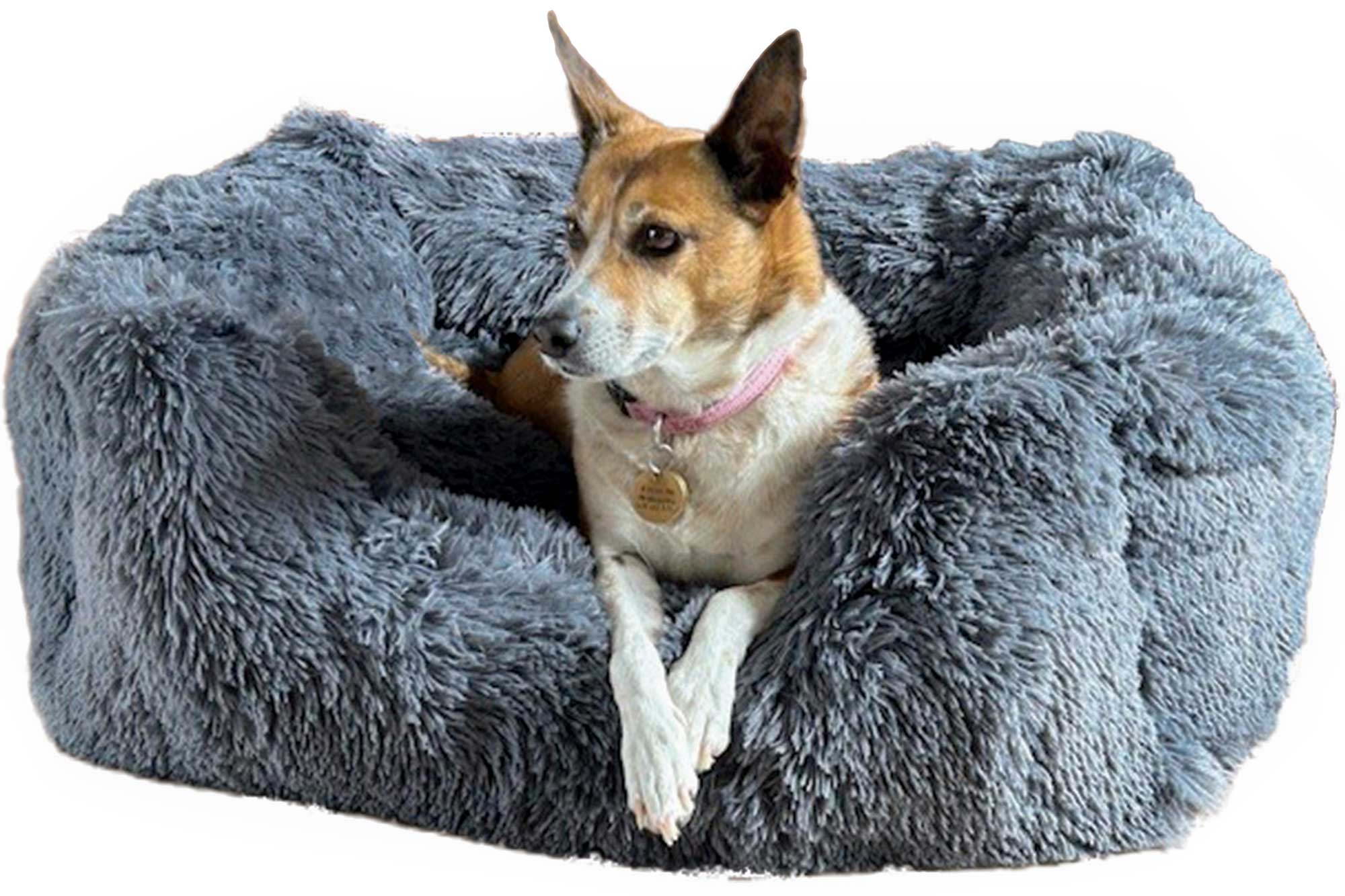 Puppy Couch Bed D