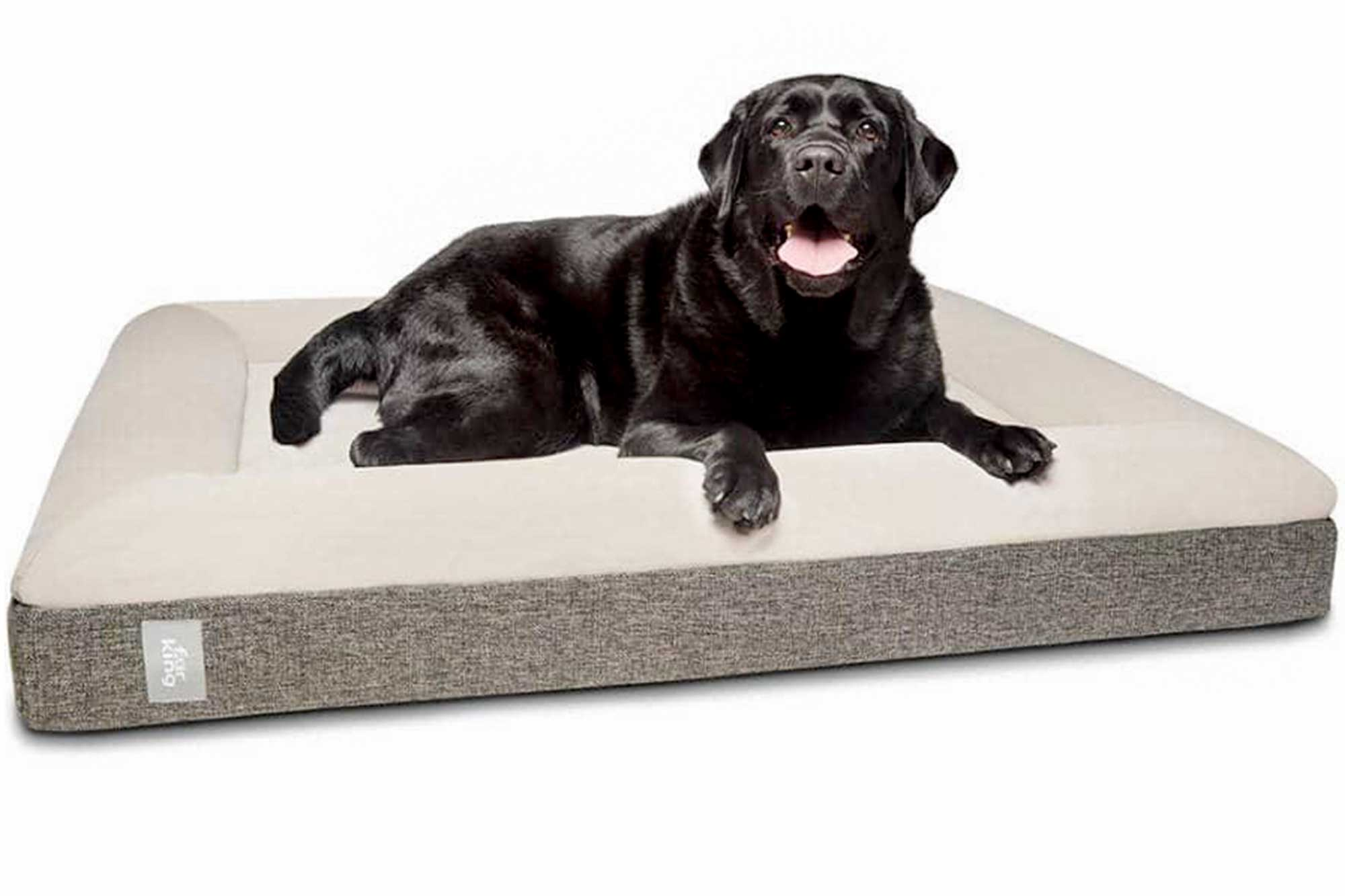 Massive Dog Beds