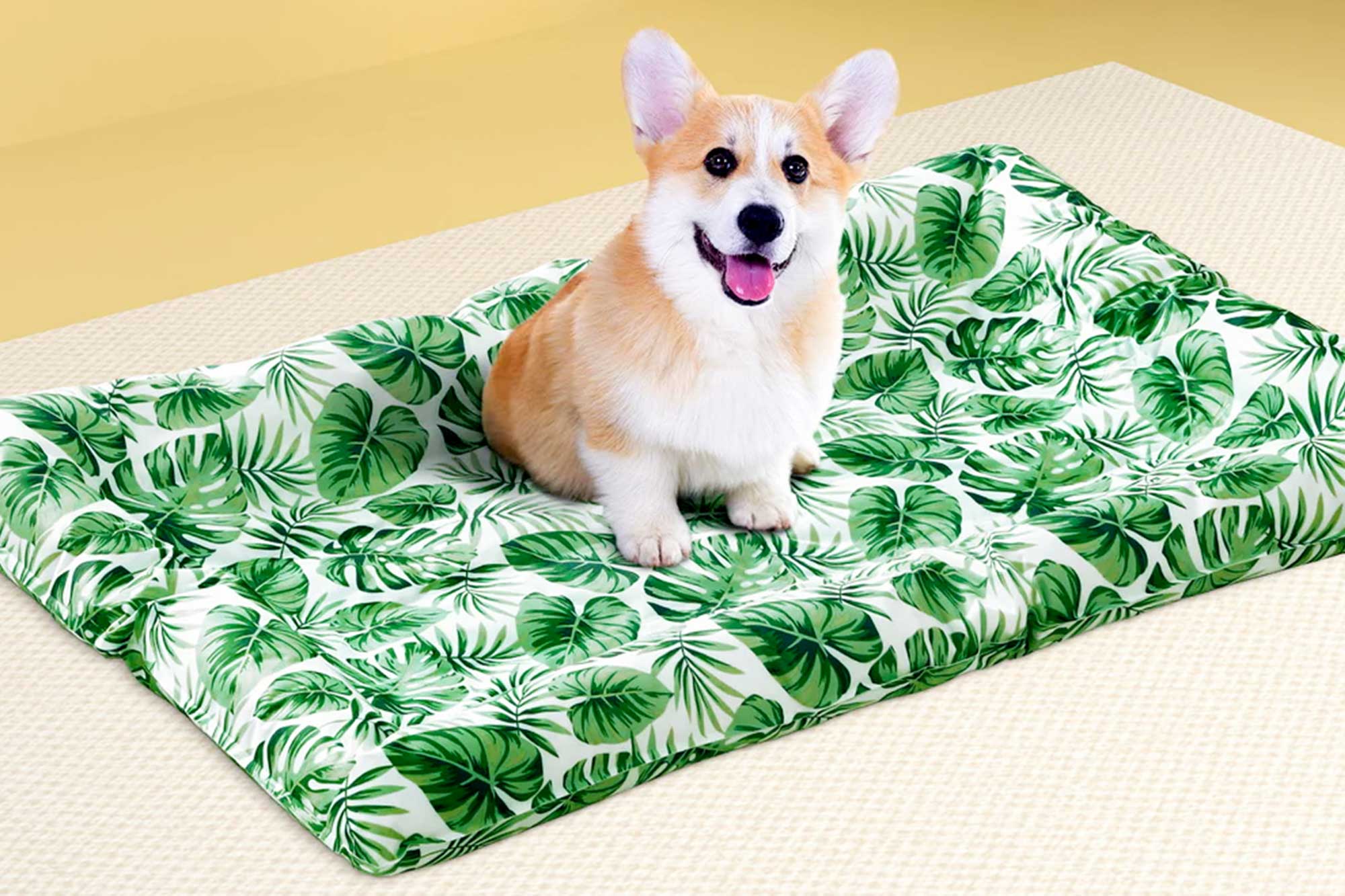 Cooling Mat For Dog G