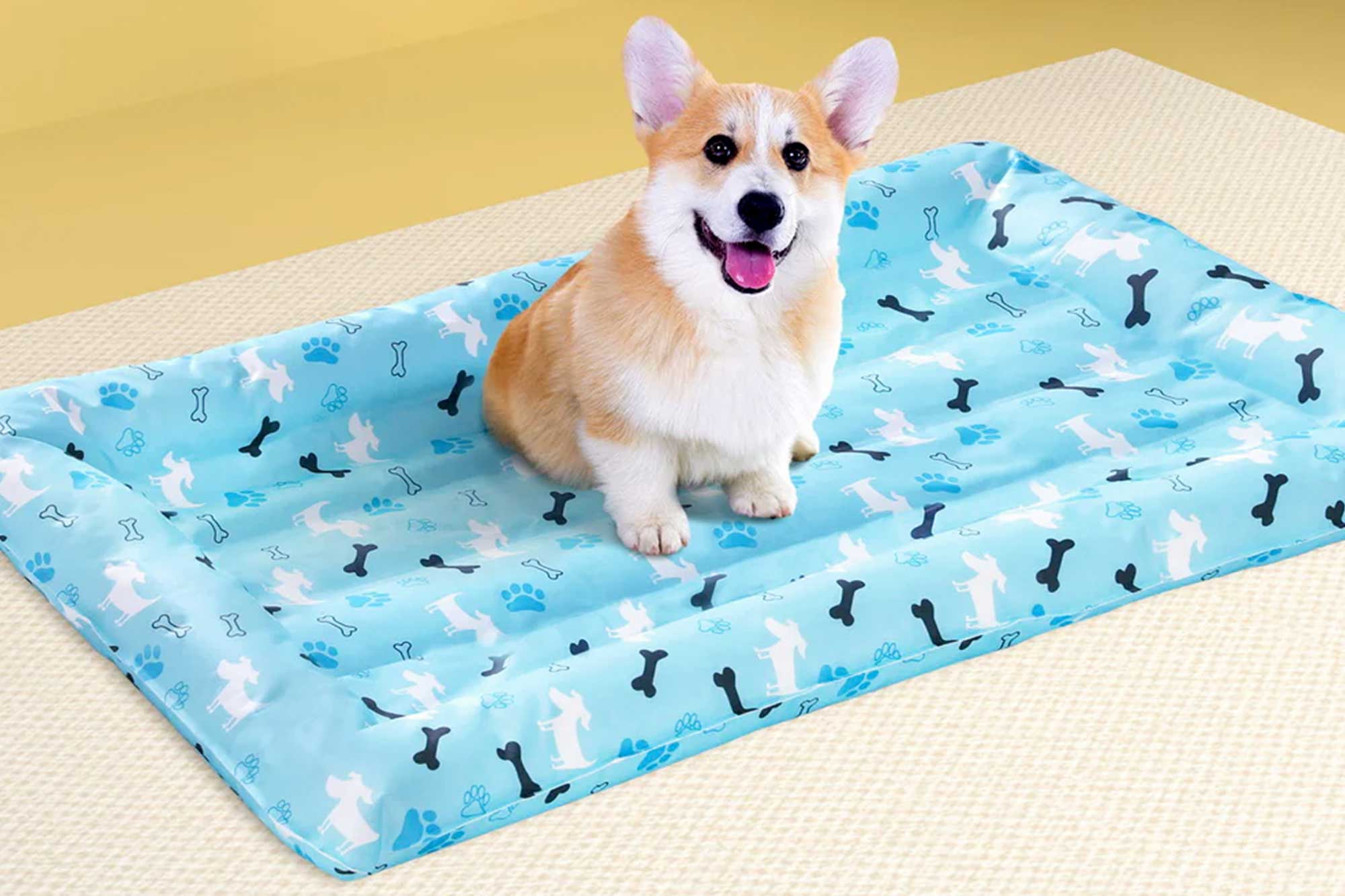 Cooling Mattress For Dogs G