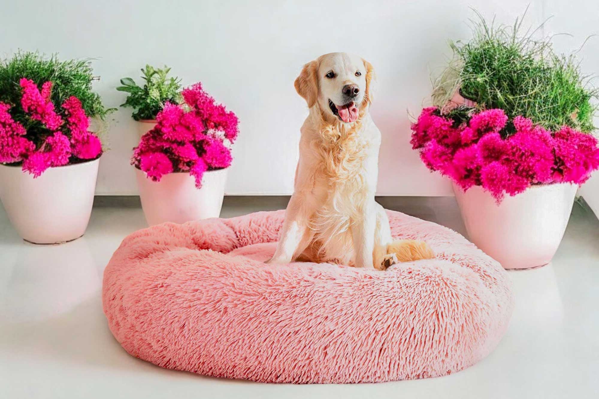 Dog Fluffy Bed