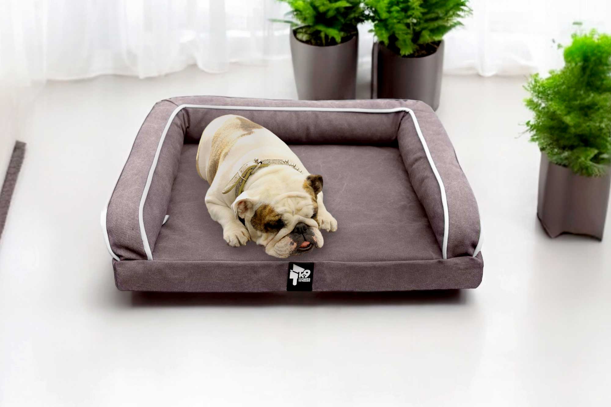 Ortho Dog Bed H