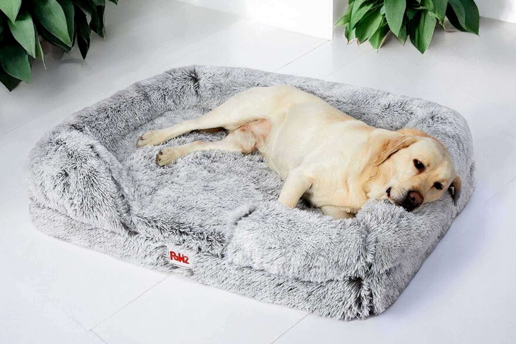 Ortho Dog Bed With Bolsters F