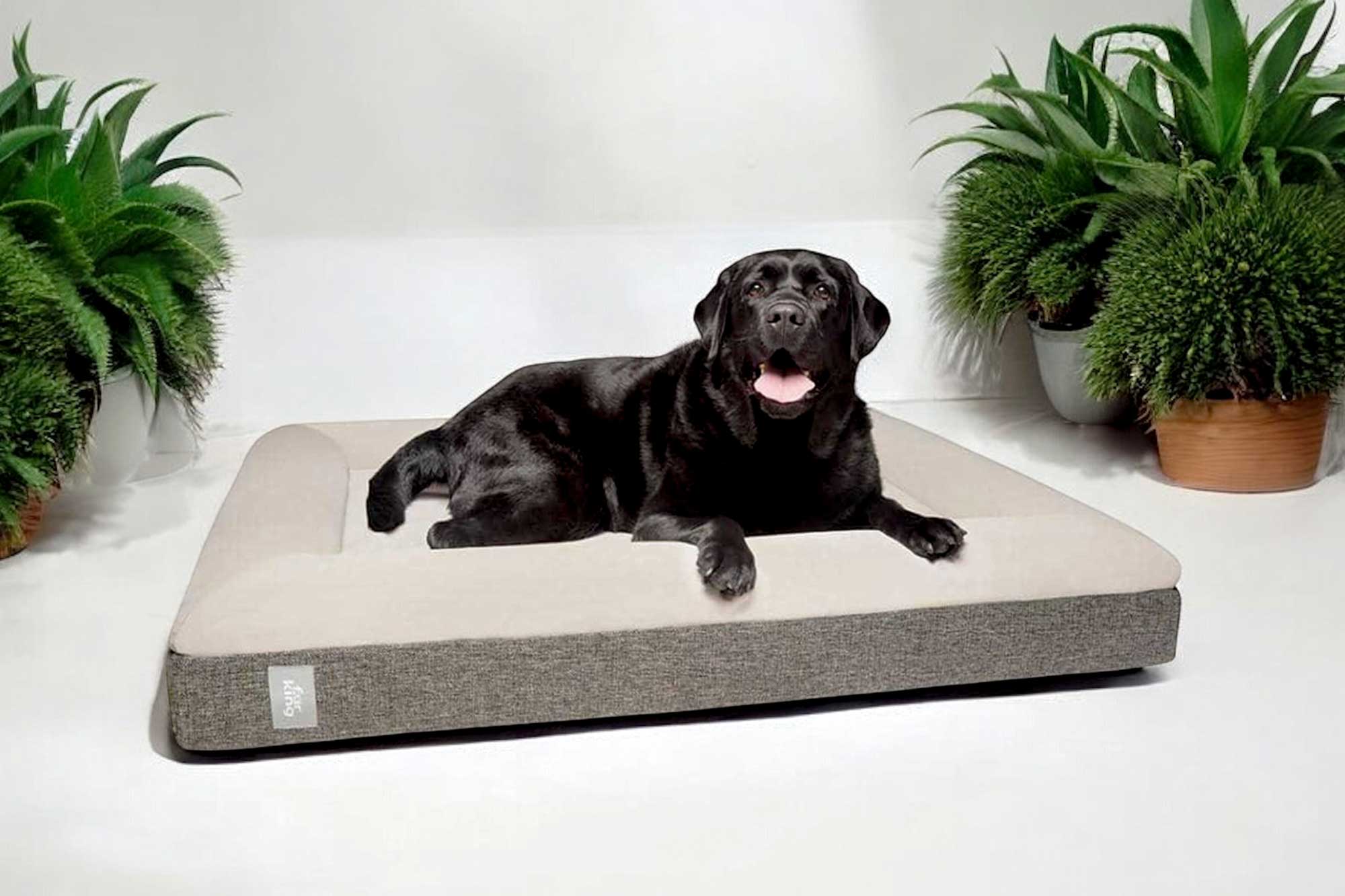 Orthopaedic Bed for Dogs E