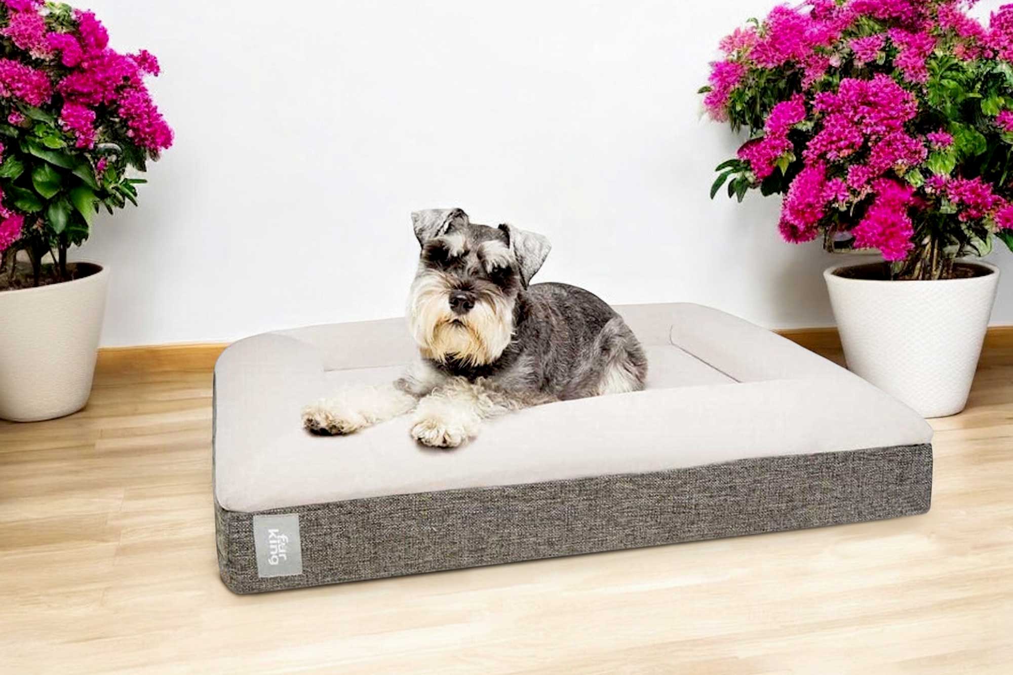 Orthopaedic Bed for Dogs F