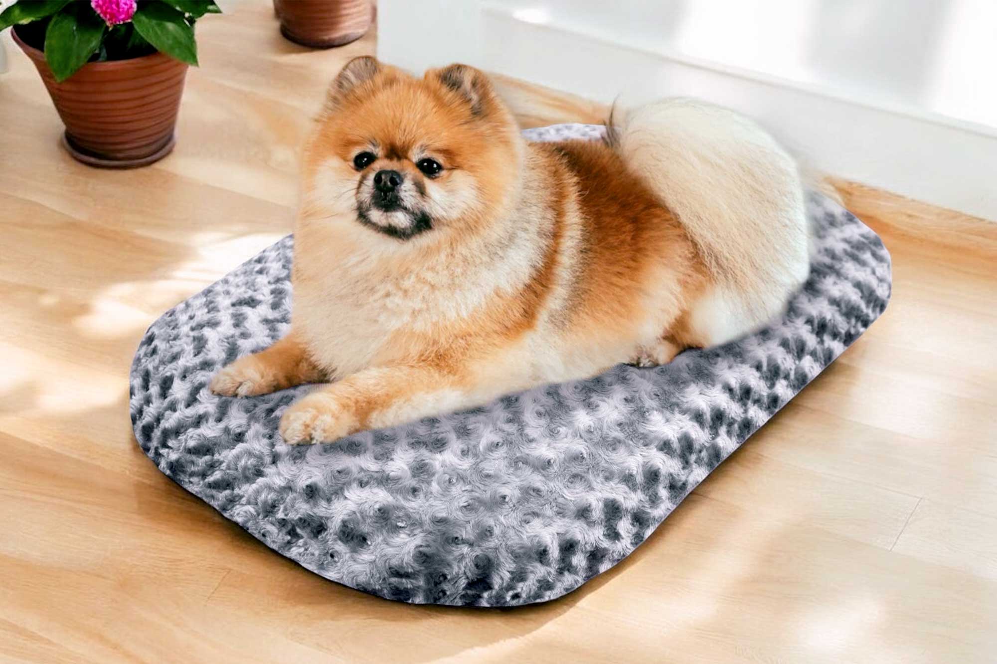 Extra Large Dog Mattress F