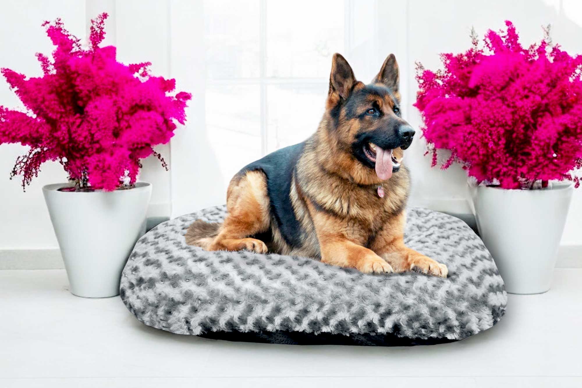 Extra Large Dog Mattress H