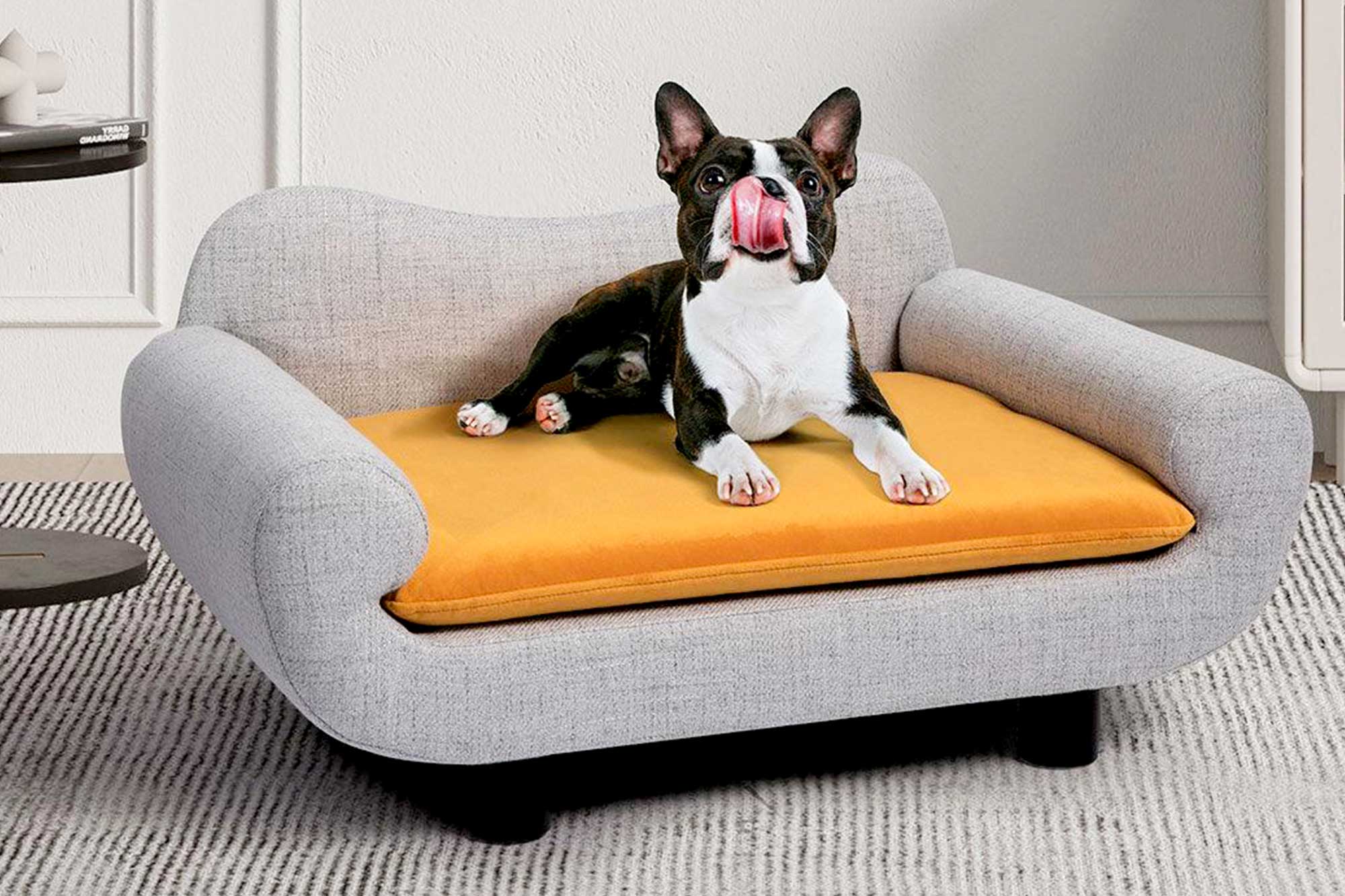 Puppy Couch Bed A